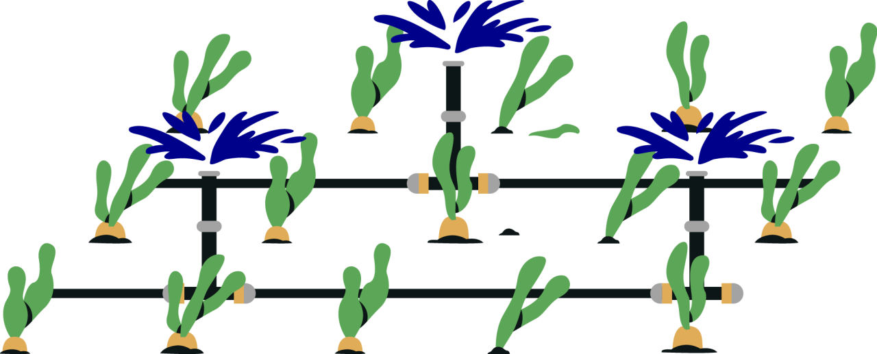 Weing's Sprinkler photo 5