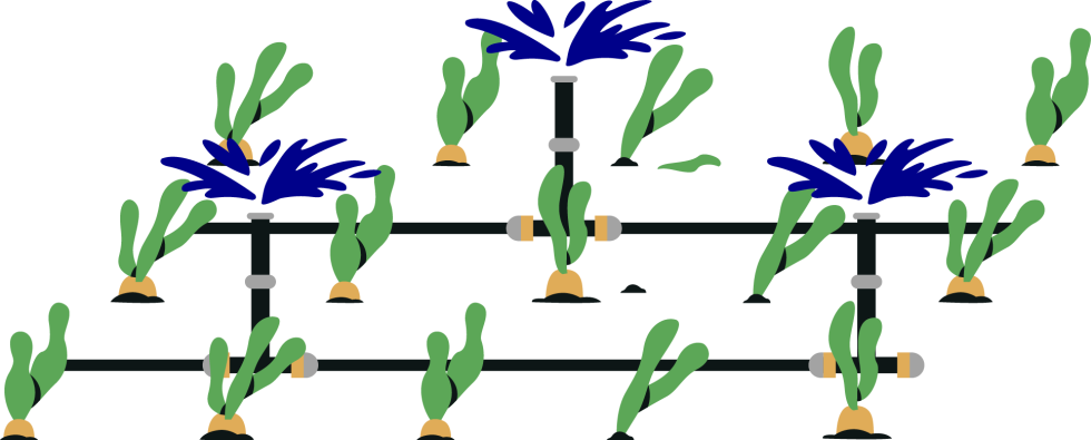 Weing's Sprinkler photo 6